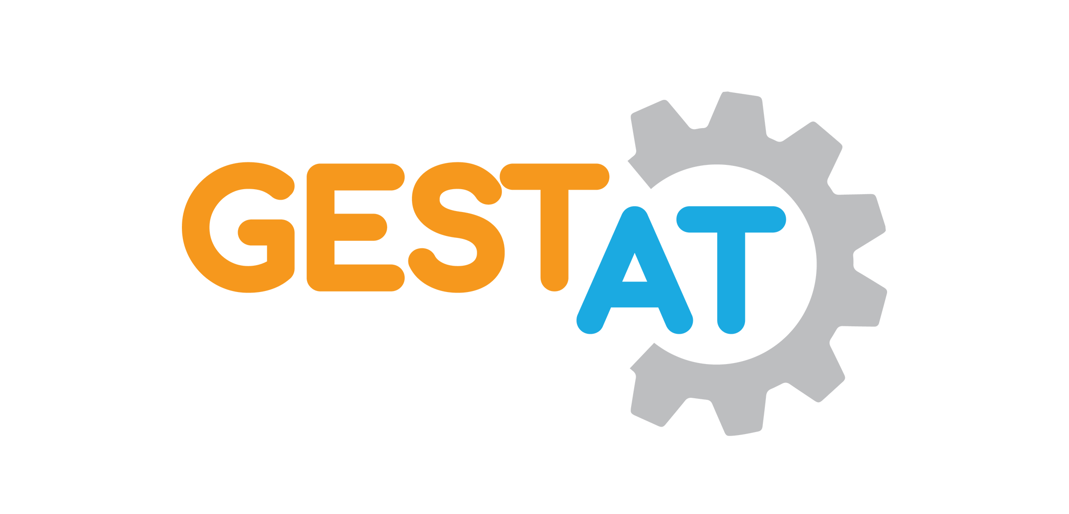 GeStat by Oltrematica